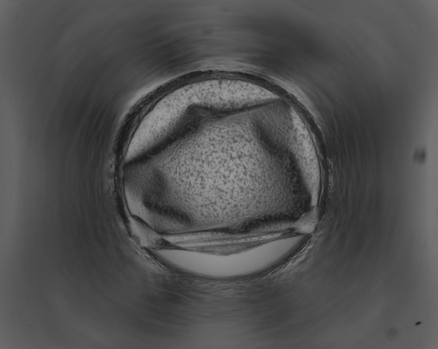 X0000095550971200801041327