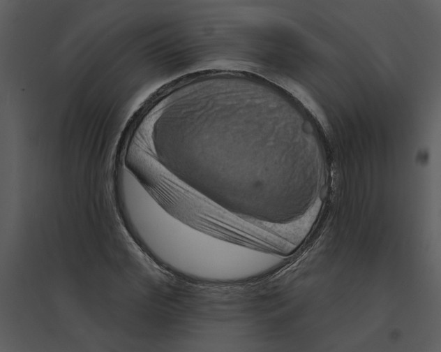 X0000095550972200801041327