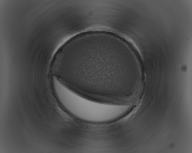 X0000095550973200801041327