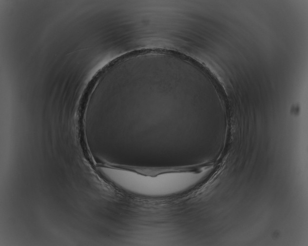 X0000095550975200801041327