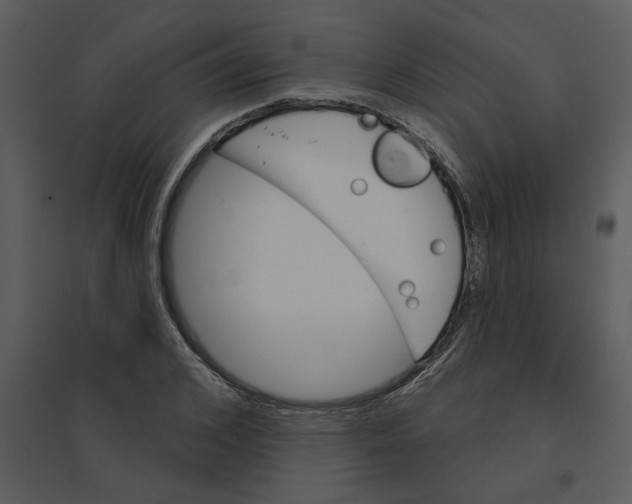 X0000095550976200801041327