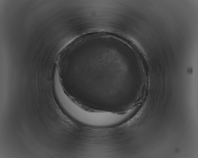 X0000095550977200801041327