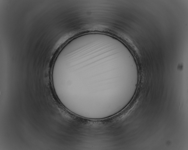 X0000095550978200801041327