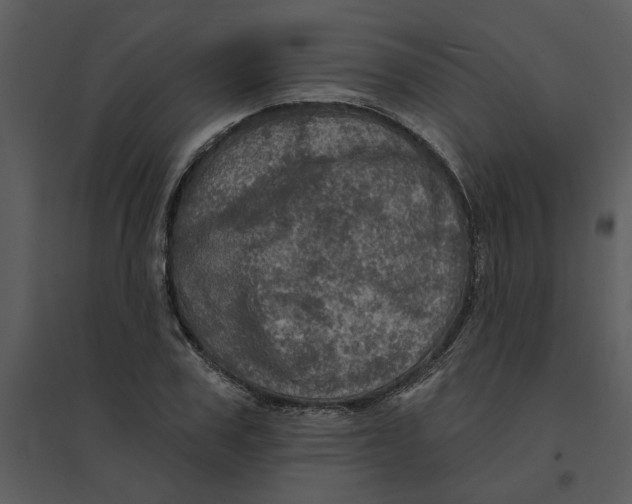 X0000095550979200801041327