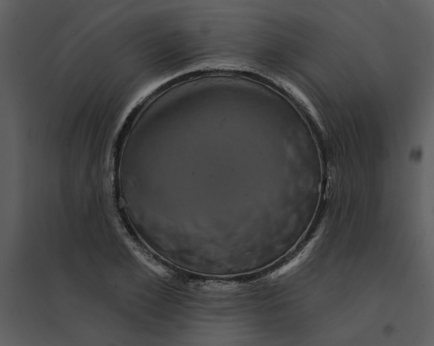 X0000095550981200801041327