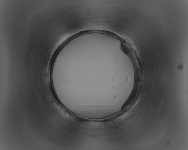 X0000095550982200801041327