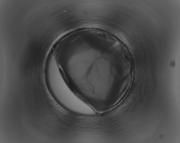 X0000095550984200801041327