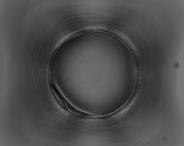 X0000095550985200801041327