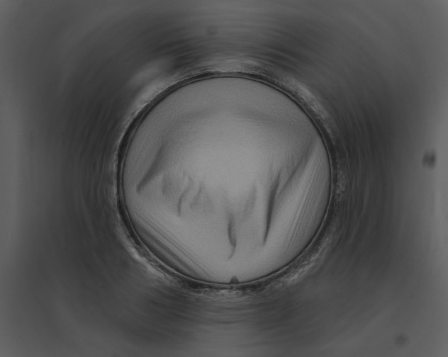 X0000095550986200801041327