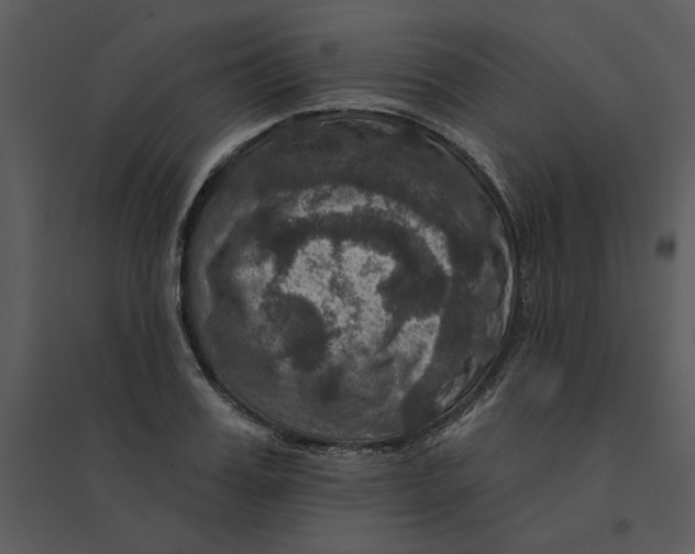 X0000095550987200801041327