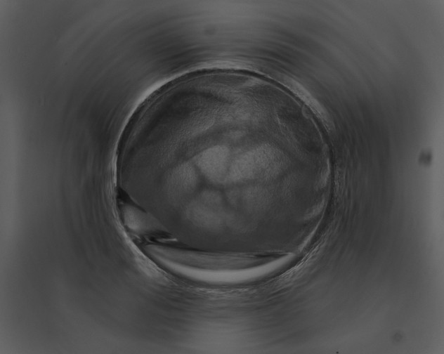 X0000095550988200801041327