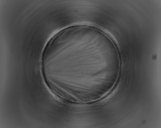 X0000095550989200801041327