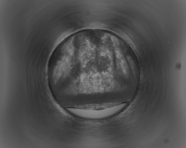 X0000095550990200801041327