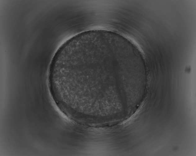 X0000095550991200801041327