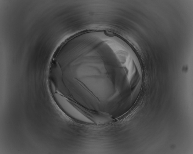 X0000095550992200801041327