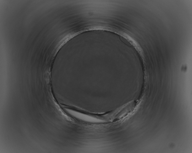 X0000095550993200801041327