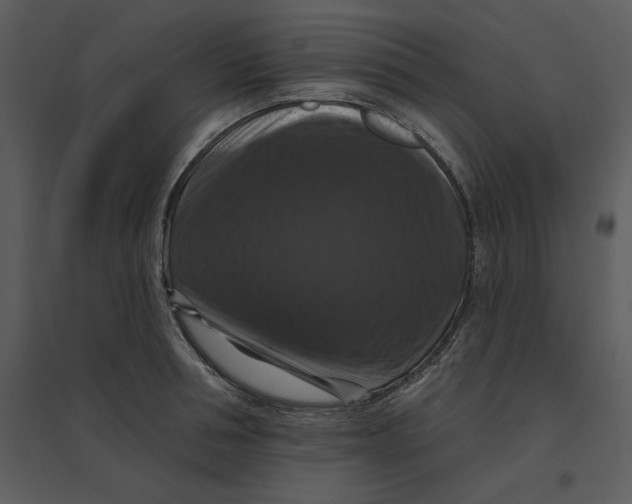 X0000095550994200801041327