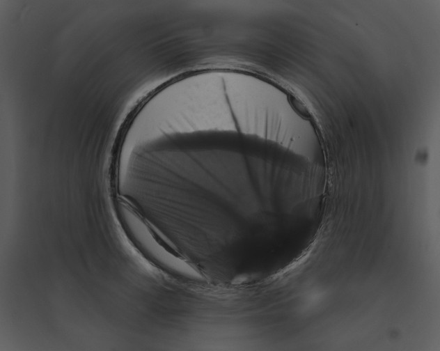 X0000095550995200801041327