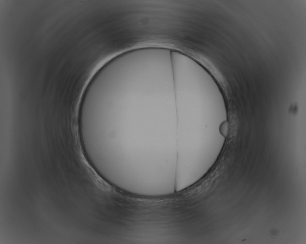 X0000095550996200801041327