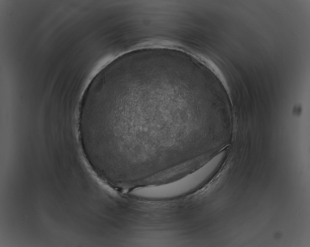 X0000095550997200801041327