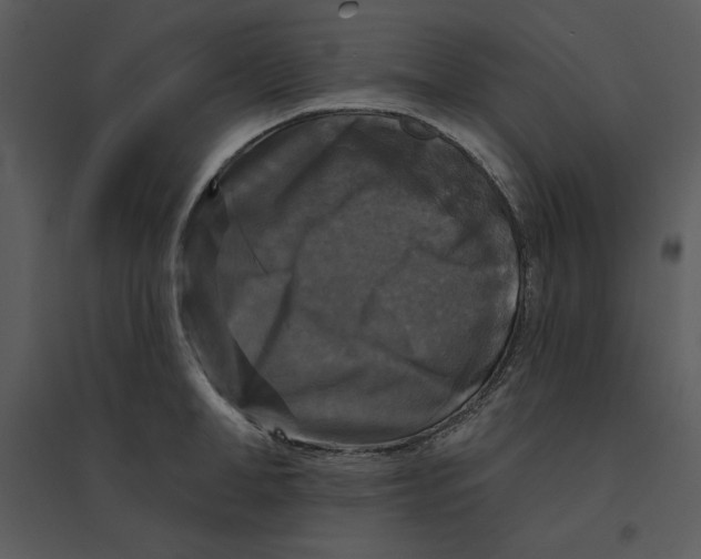 X0000095550998200801041327