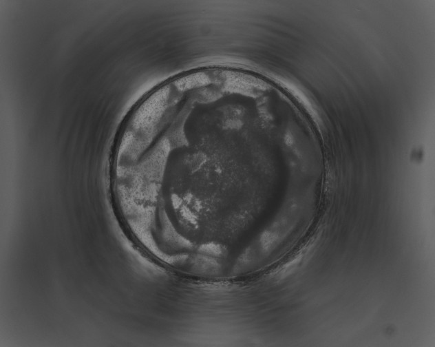 X0000095550999200801041327