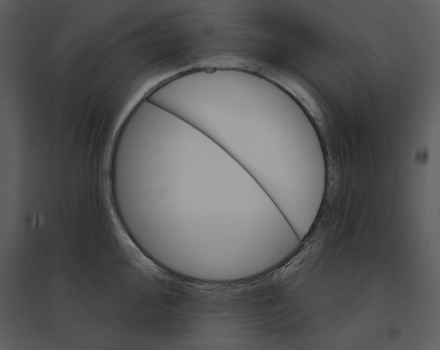 X0000095551000200801041327