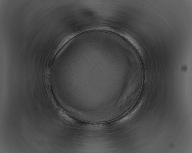 X0000095551001200801041327