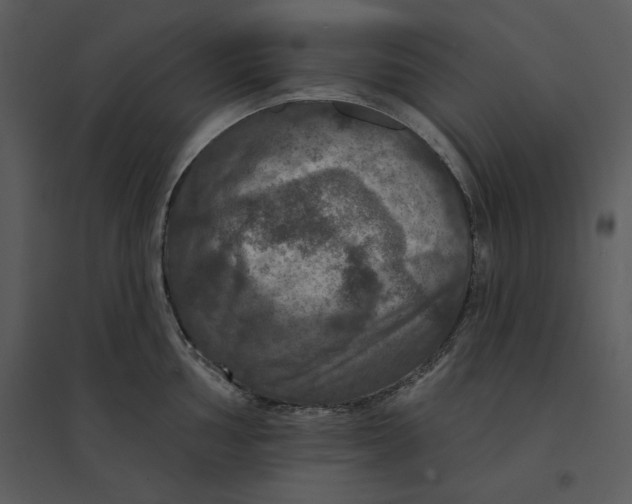 X0000095551002200801041327