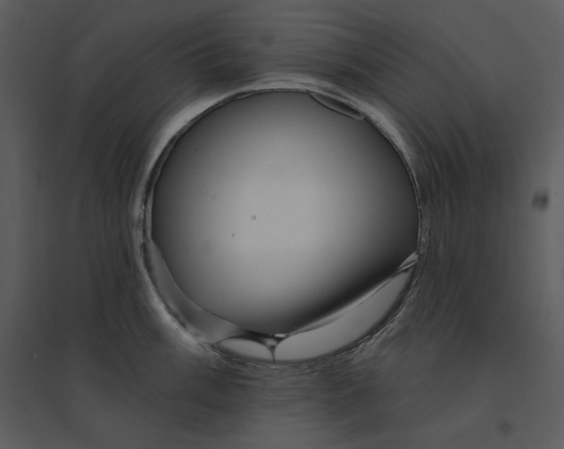 X0000095551003200801041327