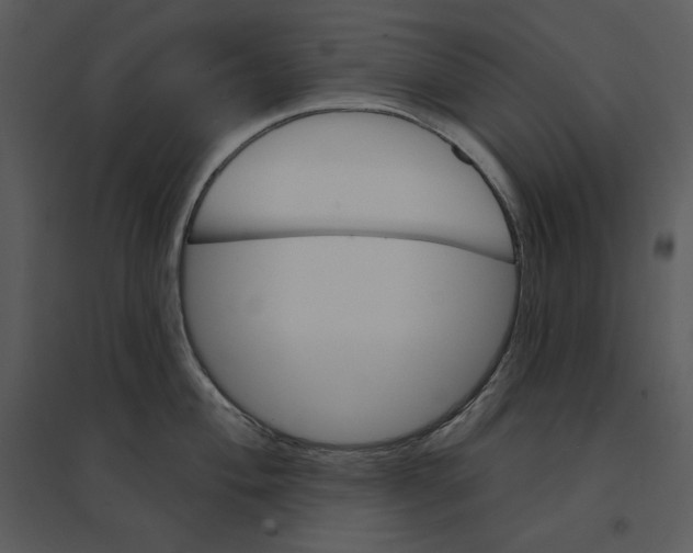 X0000095551004200801041327