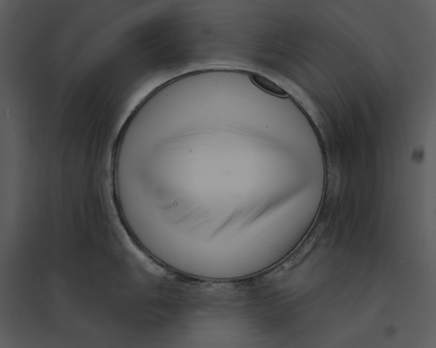 X0000095551006200801041327