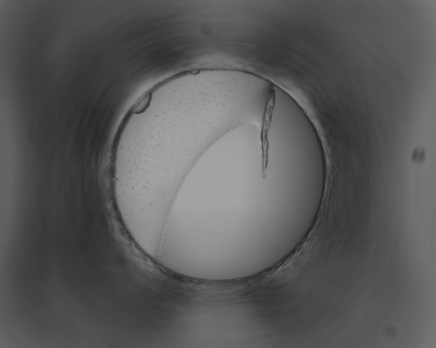 X0000095551008200801041327