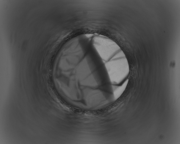 X0000095551009200801041326