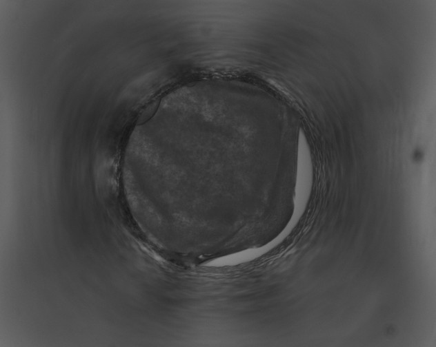 X0000095551010200801041326