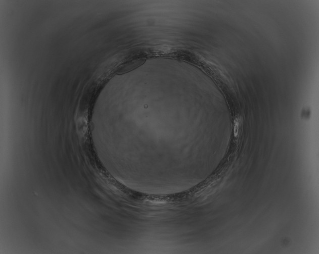 X0000095551011200801041326