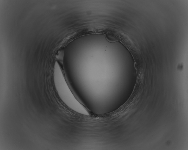 X0000095551012200801041326