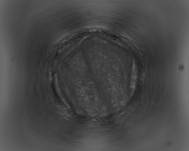 X0000095551014200801041326