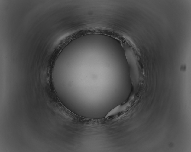 X0000095551016200801041326