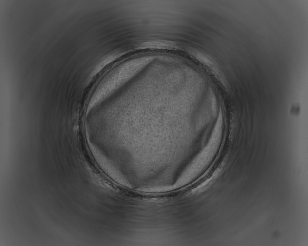 X0000095551017200801041326