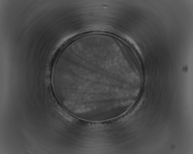 X0000095551019200801041326