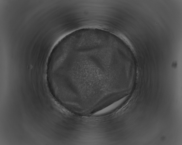 X0000095551020200801041326