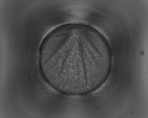 X0000095551021200801041326