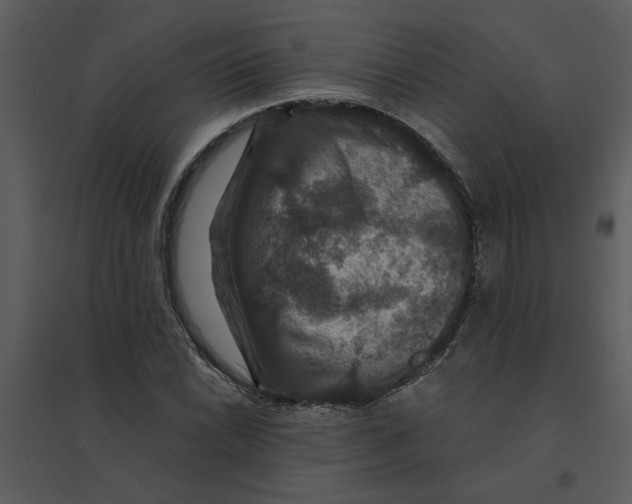 X0000095551022200801041326