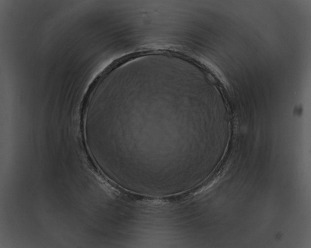 X0000095551023200801041326