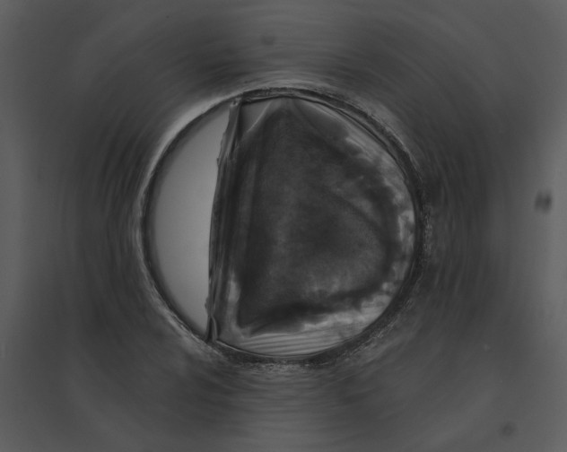 X0000095551024200801041326