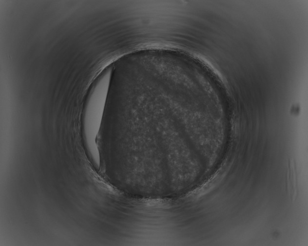 X0000095551025200801041326