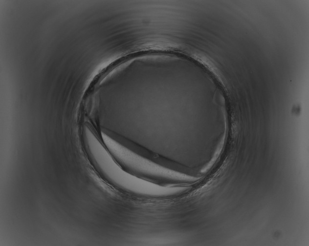 X0000095551026200801041326