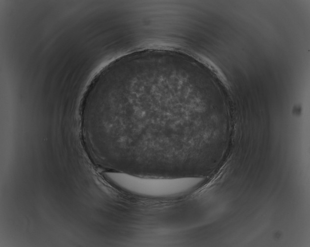 X0000095551027200801041326