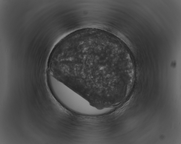 X0000095551028200801041326